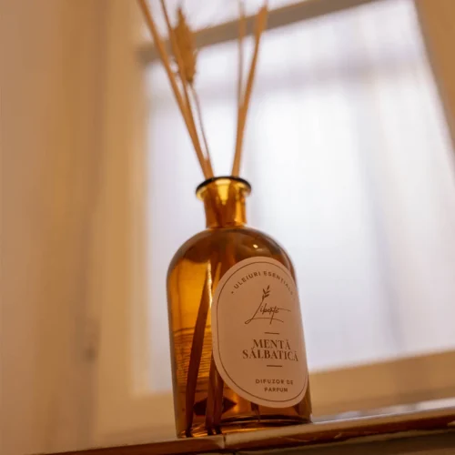 Difuzor cu bastonașe Mentă Sălbatică – 250 ml