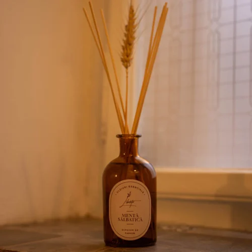 Difuzor cu bastonașe Mentă Sălbatică – 250 ml